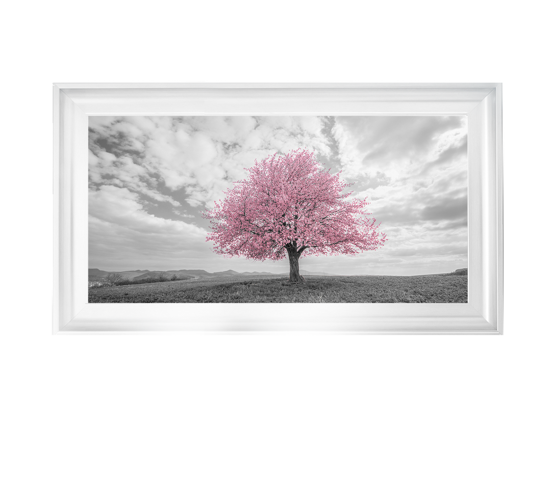 Pink tree