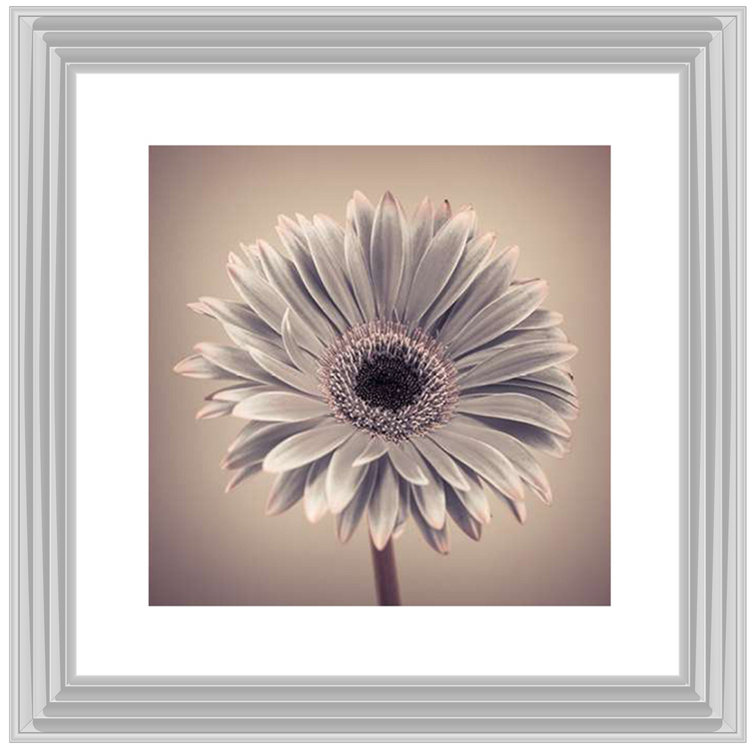 FL013 Pink Gerbera 1