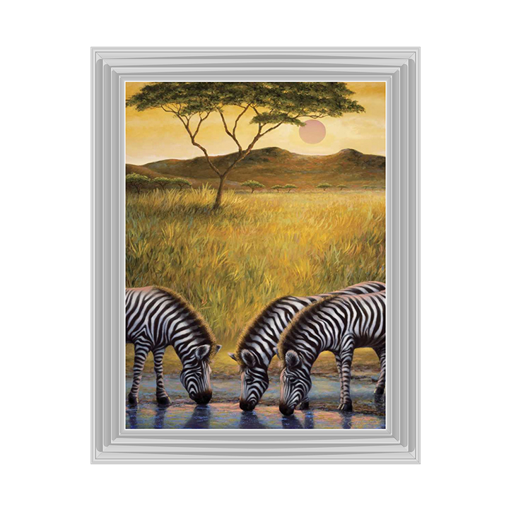 AN039 Zebra Respite