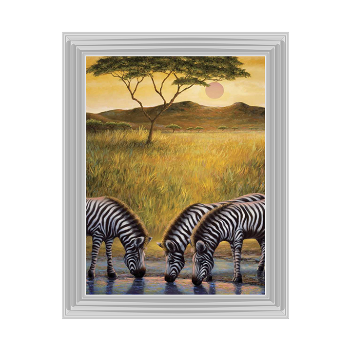AN039 Zebra Respite