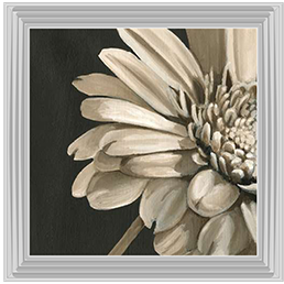 FL038 Classical Blooms IV
