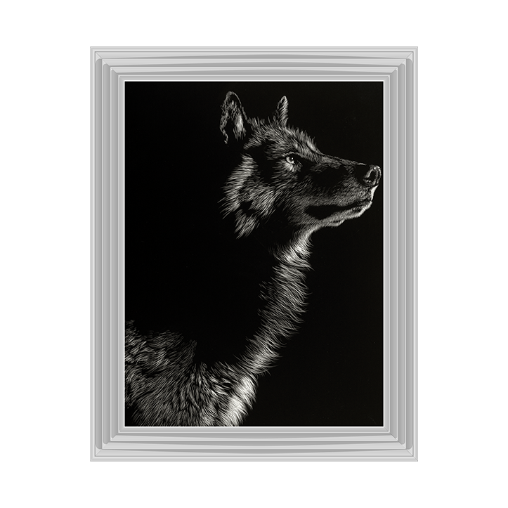 Scratchboard Wolf II
