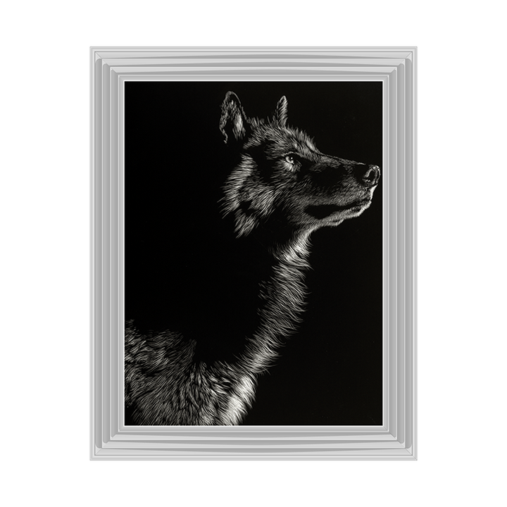 Scratchboard Wolf II