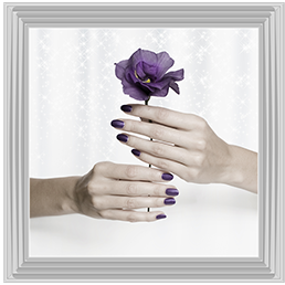 Purple Rose