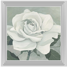 FL023 Rose One