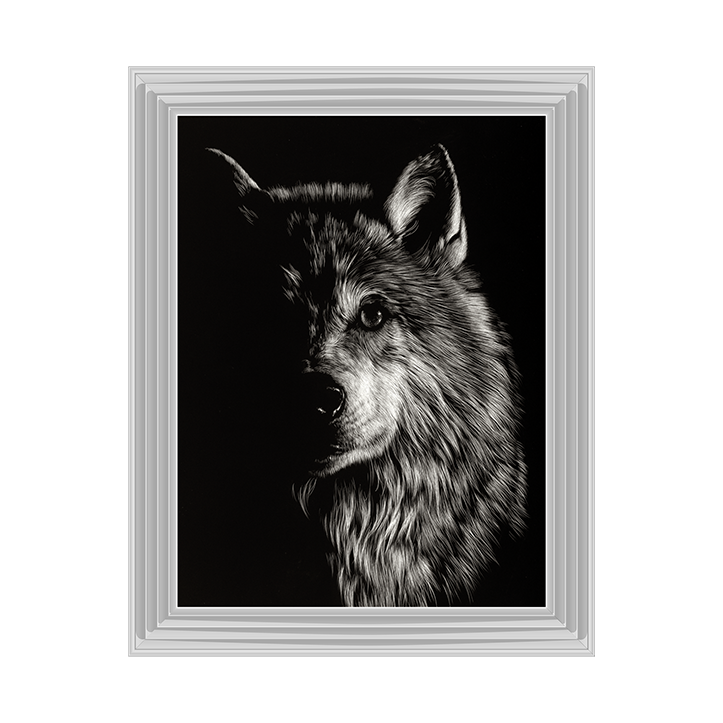 Scratchboard Wolf III