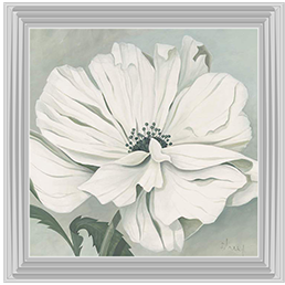 White poppy