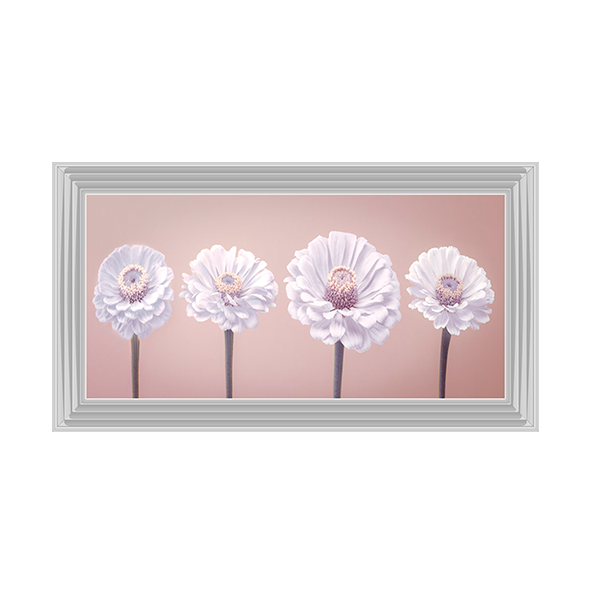 Four Zinnias in a row nude pink