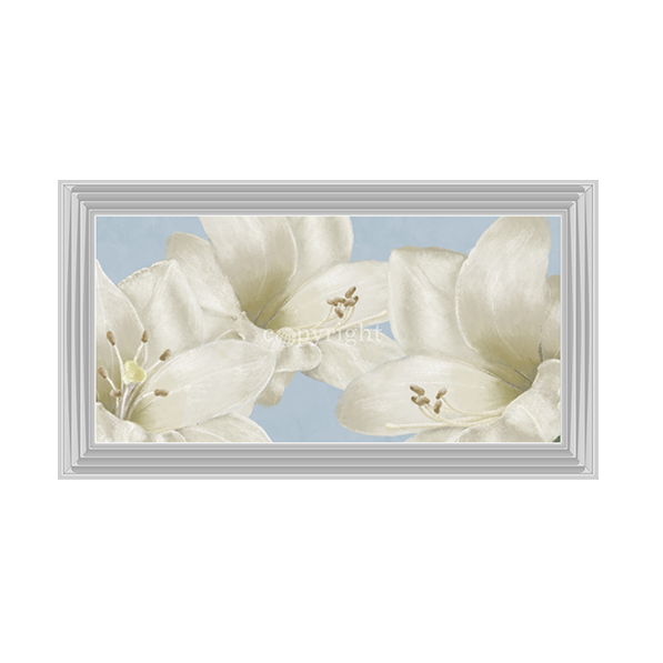 White Amaryllis III