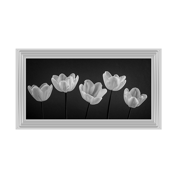 Five Tulips in a row
