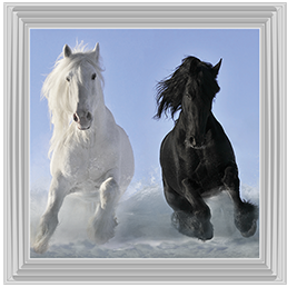 Salt And Pepper