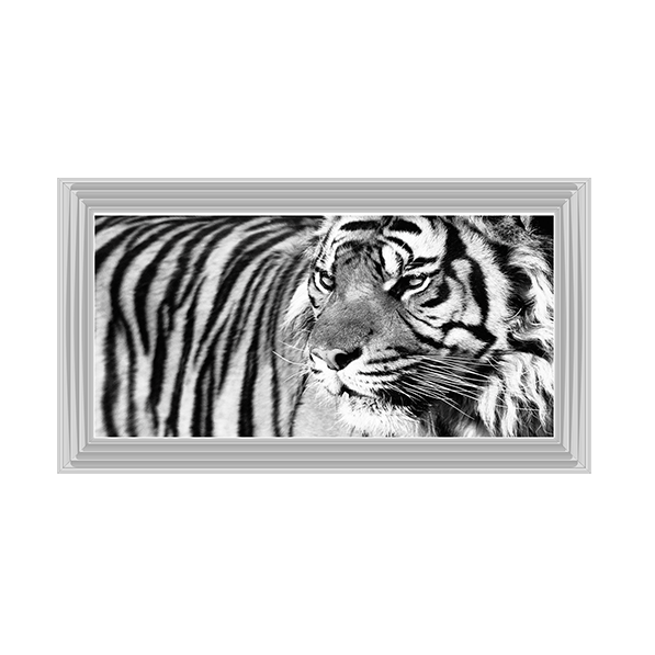 Tiger Eyes