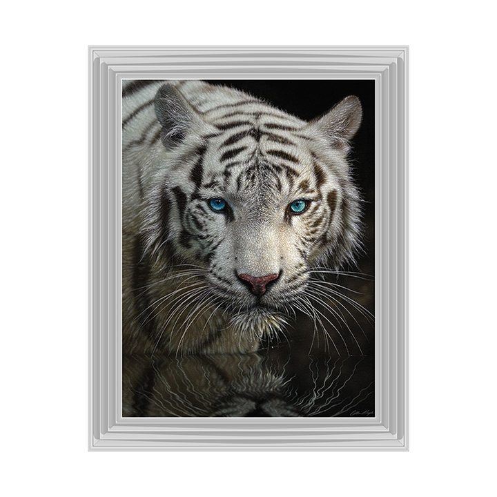 White Tiger - Into the Light
