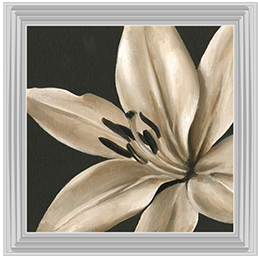 FL037 Classical Blooms III