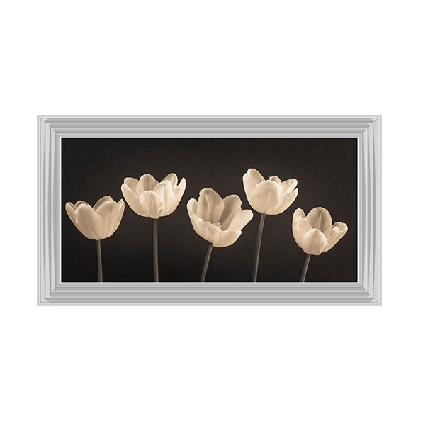Five Tulips in a row