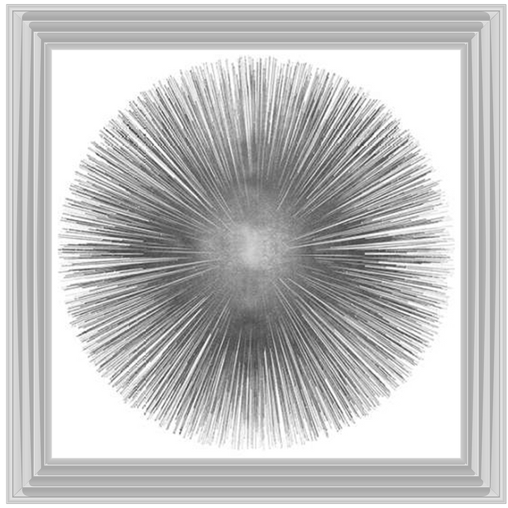 MD002 (AY112556) Silver Sunburst 1