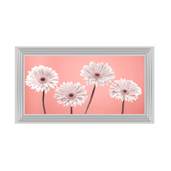 Four Gerberas Nude/White