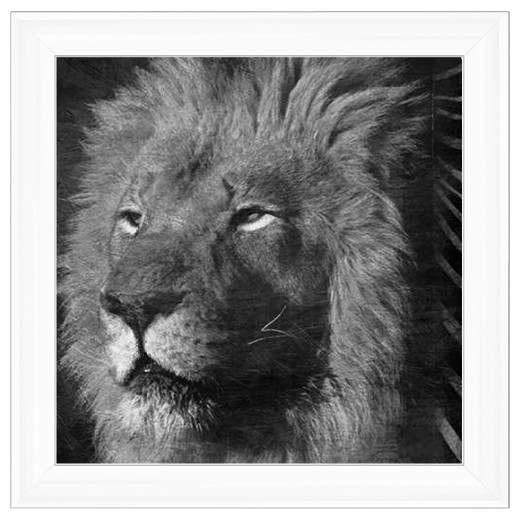 AN047 Animal Instincts Black And White