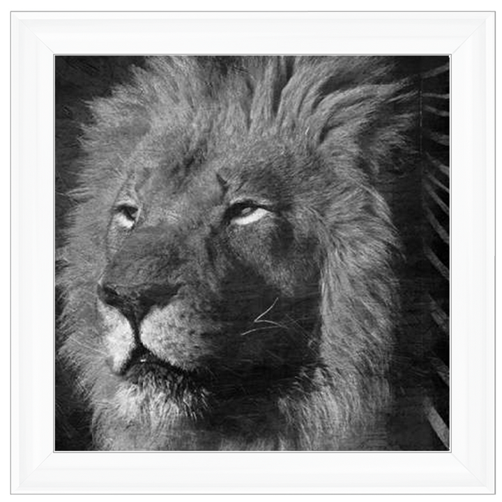 AN047 Animal Instincts Black And White