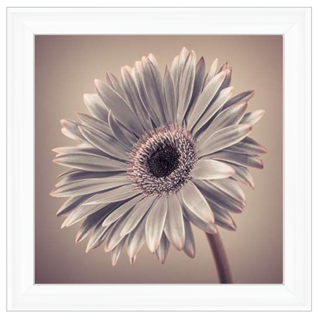 FL014 Pink Gerbera 2