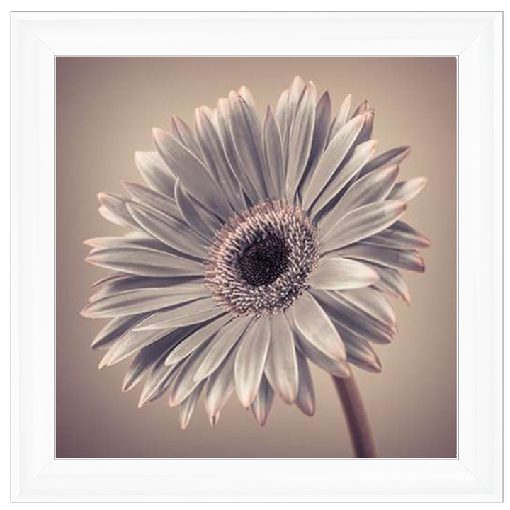 FL014 Pink Gerbera 2