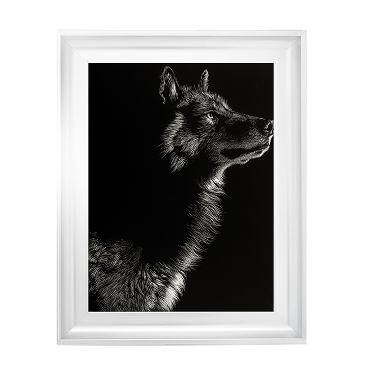 Scratchboard Wolf II