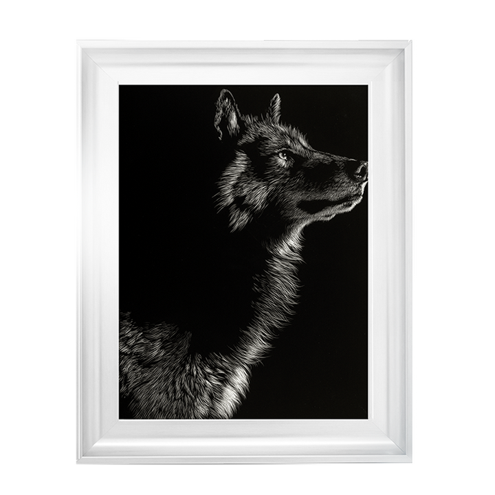 Scratchboard Wolf II