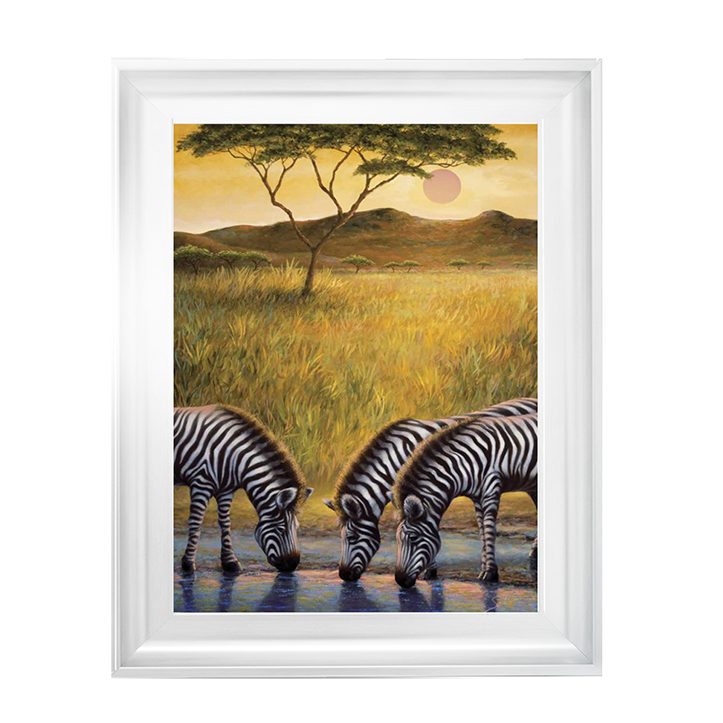 AN039 Zebra Respite