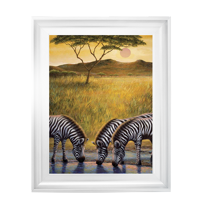 AN039 Zebra Respite