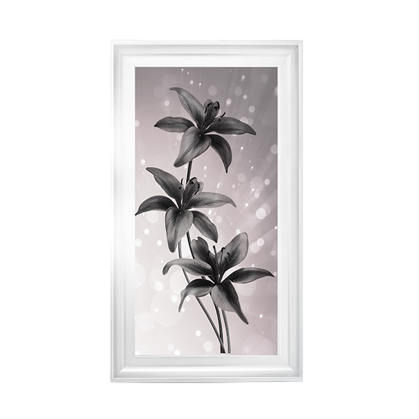 Lilies