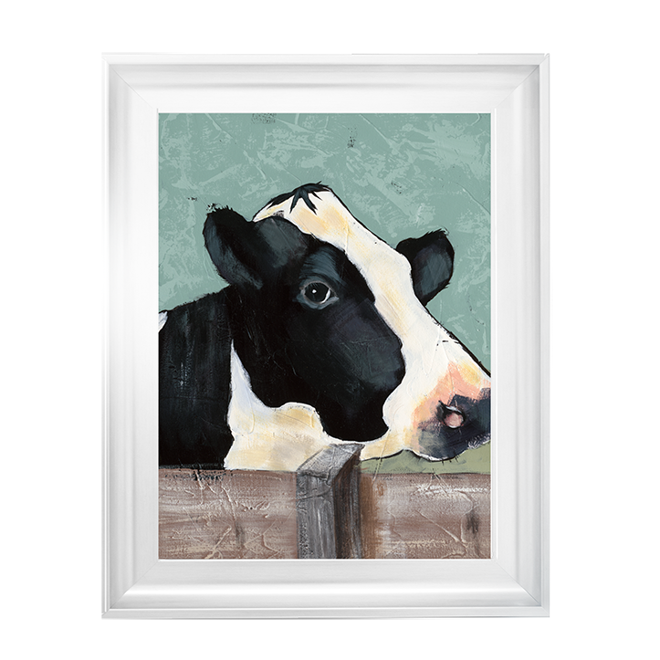 Holstein Cow I