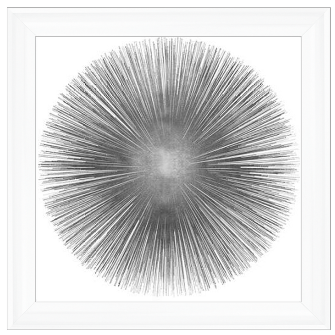 MD002 (AY112556) Silver Sunburst 1