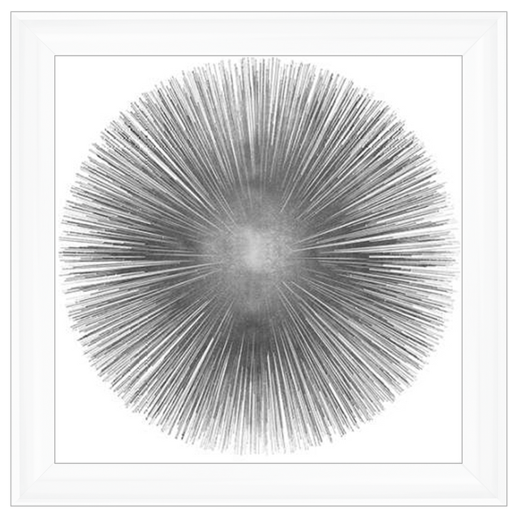 MD002 (AY112556) Silver Sunburst 1