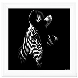 Wildlife Scratchboards V
