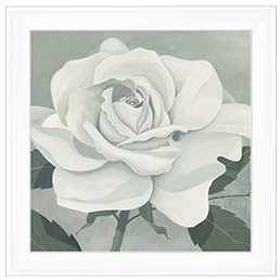 FL023 Rose One