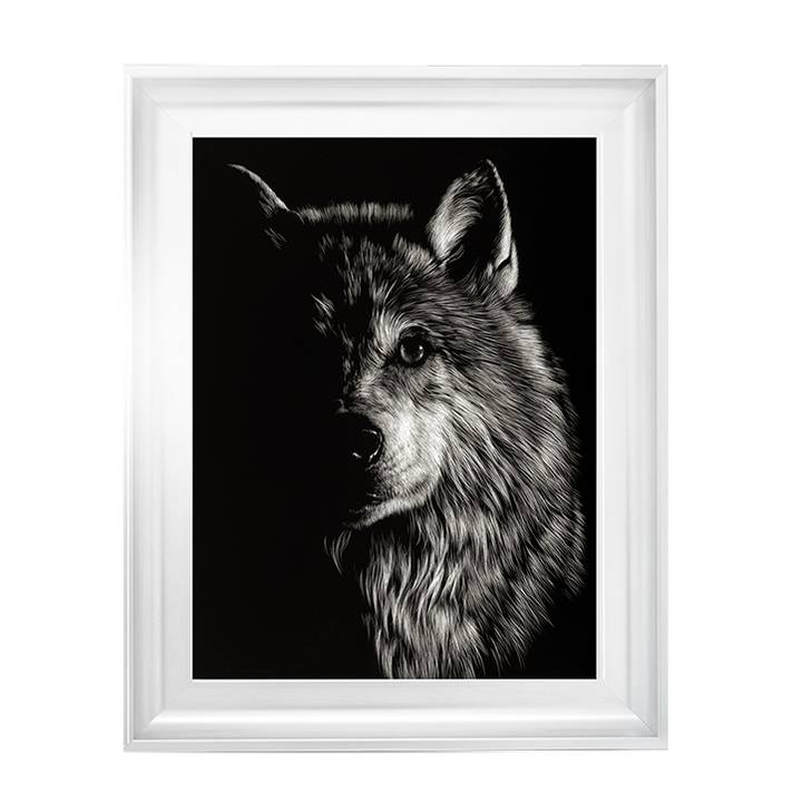 Scratchboard Wolf III