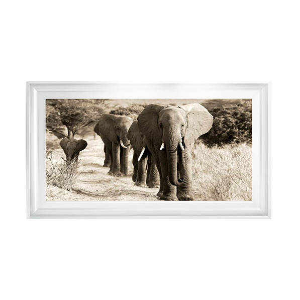 Herd of African Elephants- Kenya