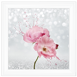 Pink Floral Silver Background