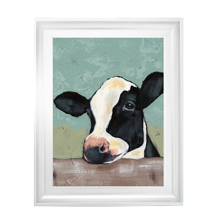 Holstein Cow II
