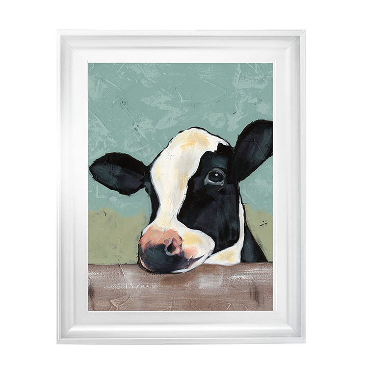 Holstein Cow II
