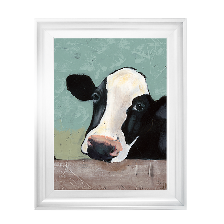 Holstein Cow III