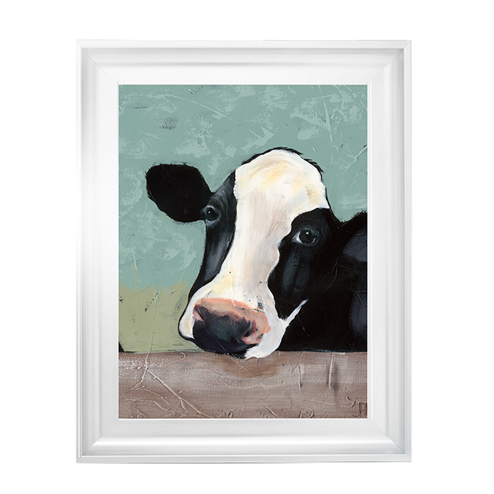 Holstein Cow III