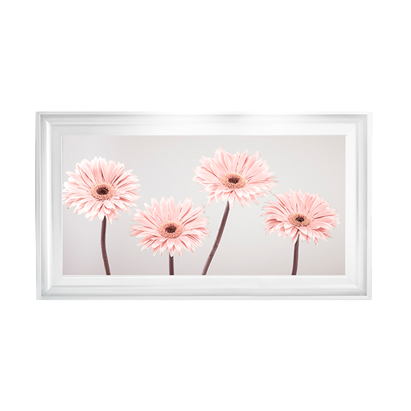 Set of 4 Gerberas nude pink