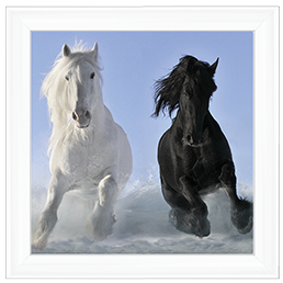 Salt And Pepper