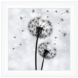 FL010 Dandelion pair