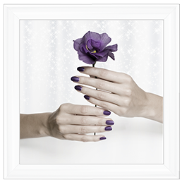 Purple Rose