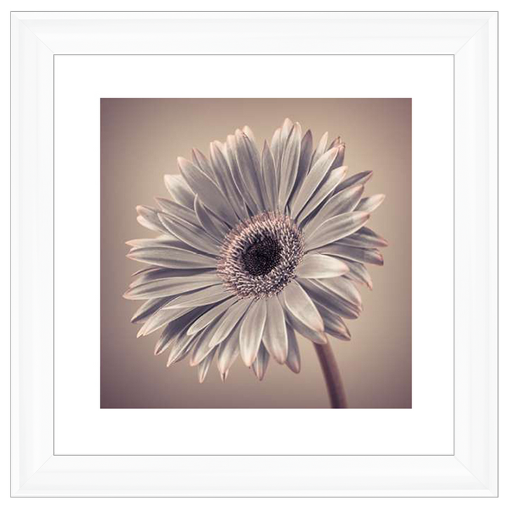 FL014 Pink Gerbera 2