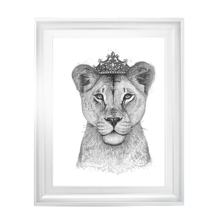 Queen Lioness